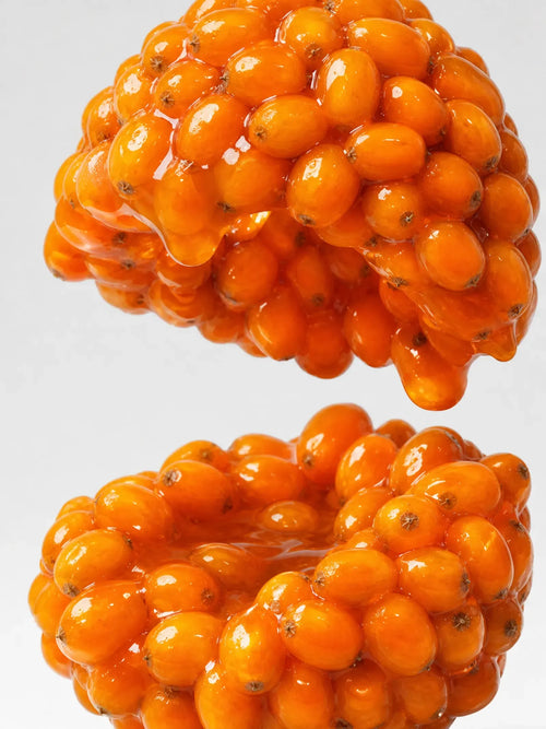 Why Longevity? The Case for What You Eat Every Single Day