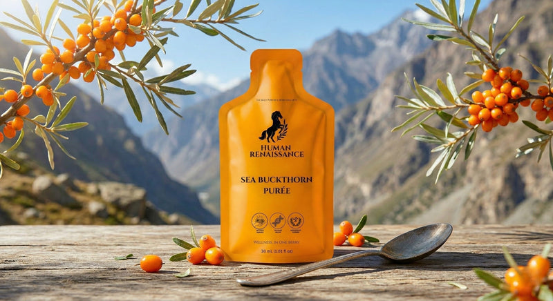 A single-serve orange pouch of Human Renaissance Wild-Harvested Sea Buckthorn Puree on a rustic wooden table, surrounded by fresh orange berries and mountain peaks in the background.