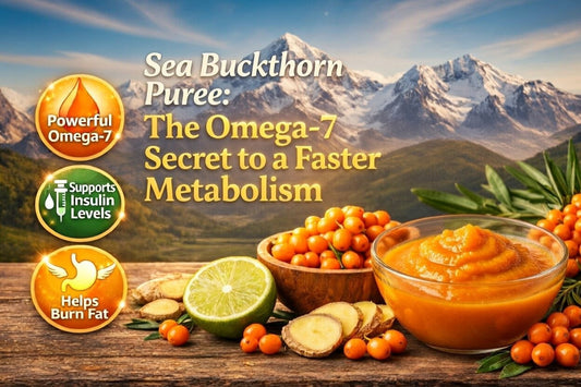 Sea Buckthorn Puree: The Omega-7 Secret to a Faster Metabolism