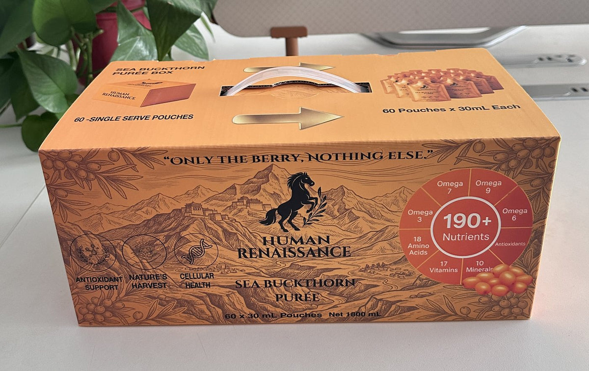 Human Renaissance sea buckthorn puree box of 60 single-serve pouches, real product photo
