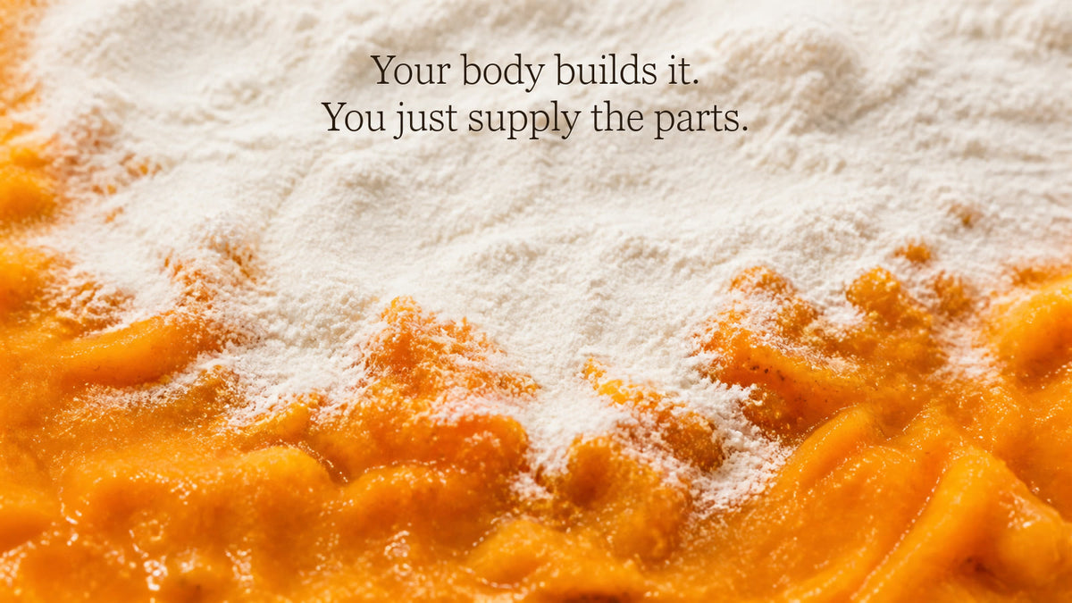 Fine white collagen powder drifted over wet orange sea buckthorn pulp