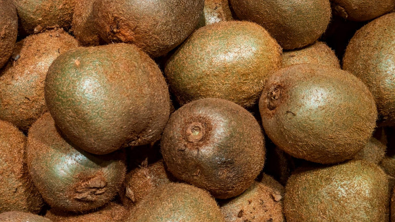 Pile of brown fuzzy kiwifruit, botanical comparison to sea buckthorn vitamin C content