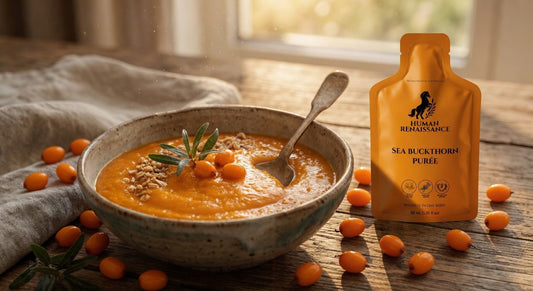 A vibrant orange bowl of sea buckthorn puree topped with seeds and fresh berries sits on a rustic wooden table next to a Human Renaissance wild-harvested sea buckthorn puree sachet.