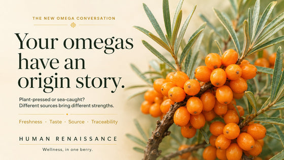 Fresh orange sea buckthorn berries on a branch with the headline “Your omegas have an origin story,” highlighting sea buckthorn puree and plant-based omegas.