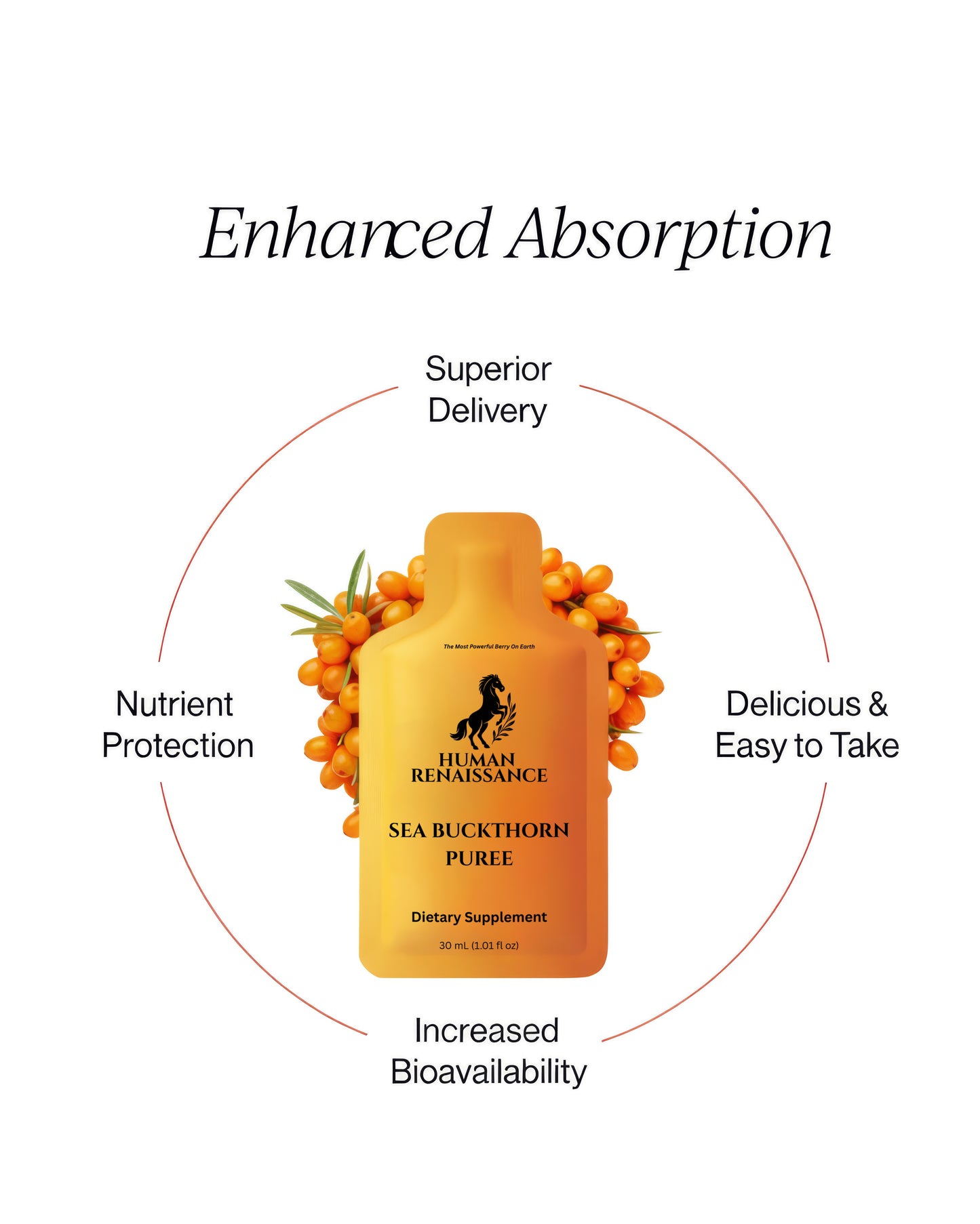 Wild Harvested Sea Buckthorn Purée 30 mL Sachet