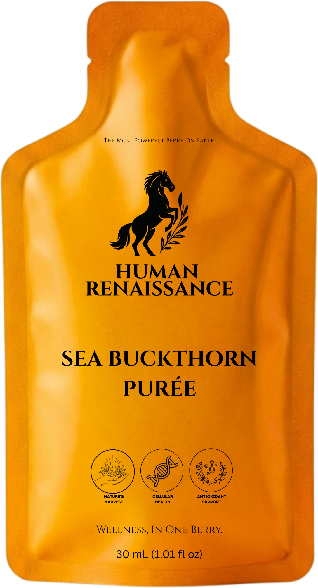 Sea Buckthorn Purée pouch — 30 mL