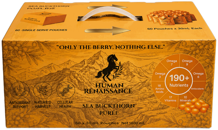 Human Renaissance Sea Buckthorn Purée box, 60 single-serve pouches