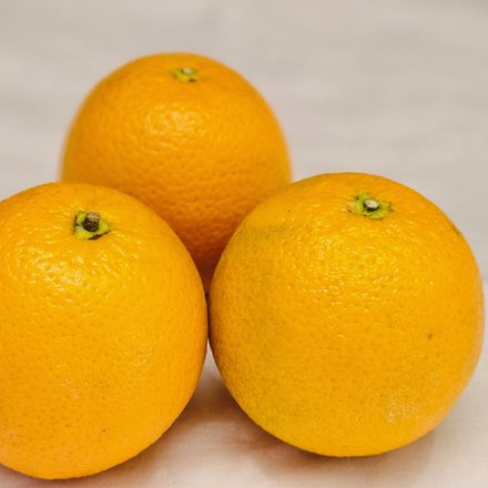 oranges