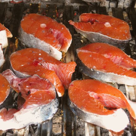 salmon fillets