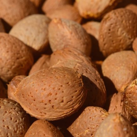 almonds