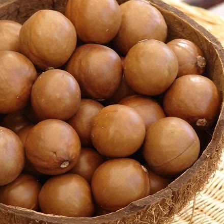macadamia nuts