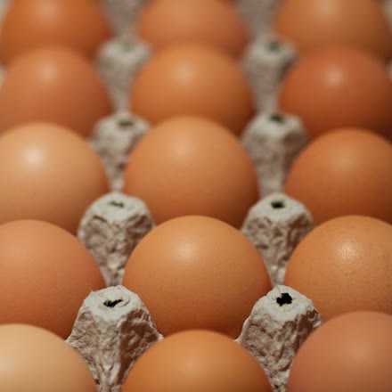 pasture eggs