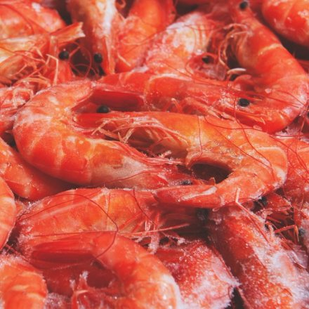 shrimp