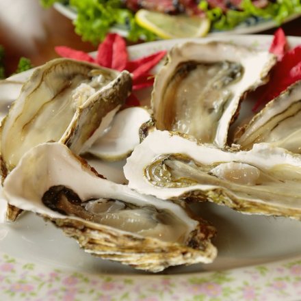 oysters
